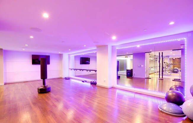 Lex and Leo at Waterfront Station Apartments in SW DC Waterfront