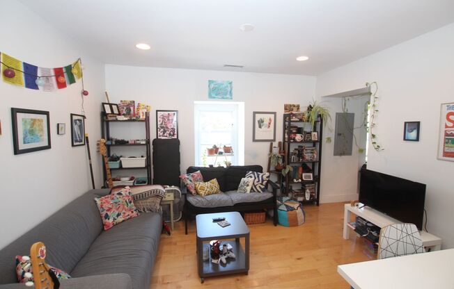 Spacious newly renovated 1 bedroom one bathroom apartment in a great area in Manayunk