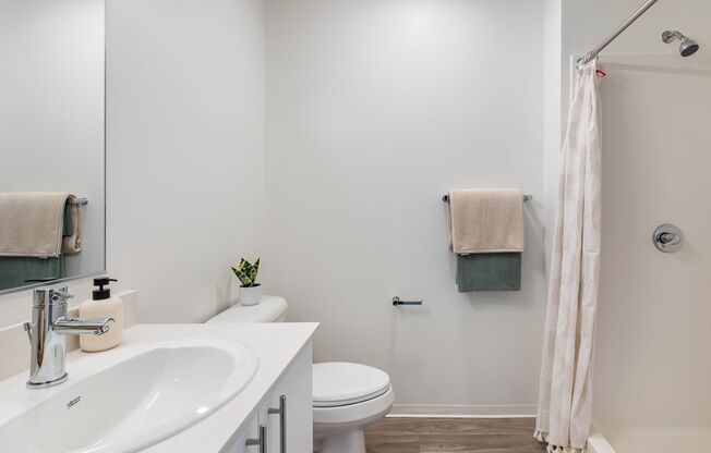 Studio, 1 bath, 295 sqft, $1,150