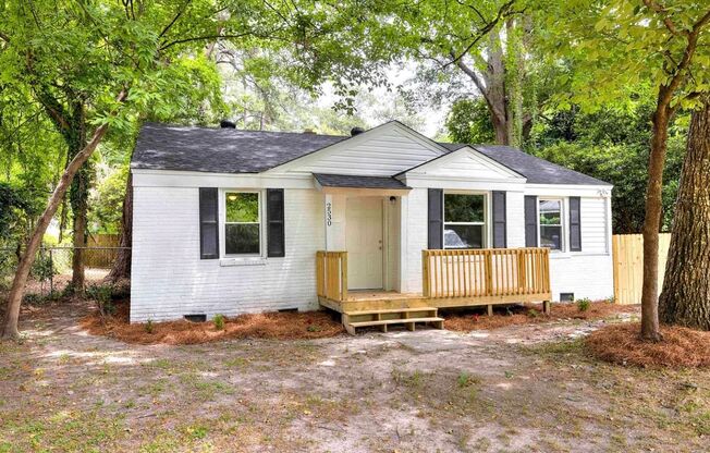 Fully Renovated 3 Bedroom, 1 Bath in the Forest Acres Area - Available NOW!