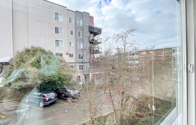 1 bed, 1 bath, 475 sqft, $1,495, Unit 303