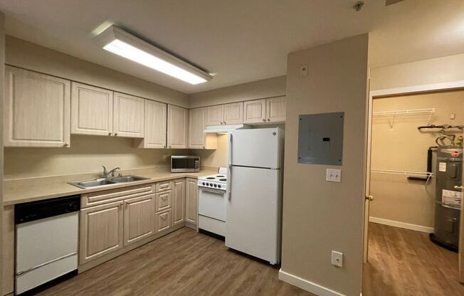 Studio, 1 bath, 413 sqft, $1,150, Unit 307
