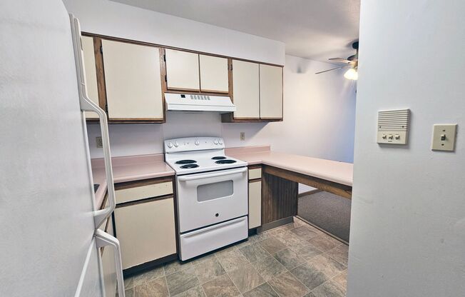 1 bed, 1 bath, 500 sqft, $869