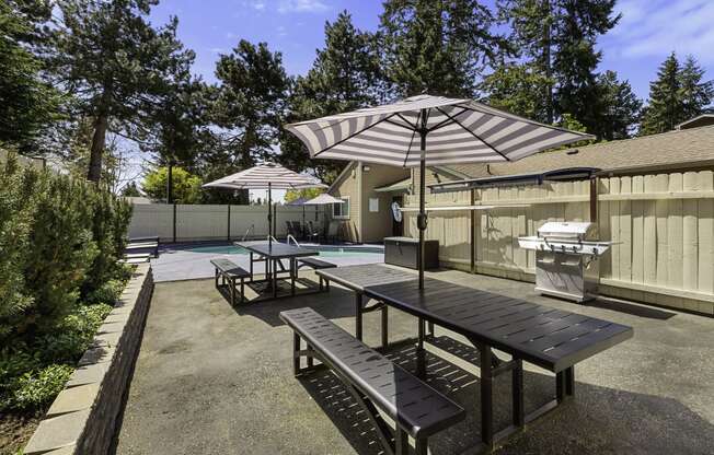 Resident Picnic Area with Picnic Tables and Striped Umbrellas at Park 210 Apartment Homes, Edmonds, WA, 98026