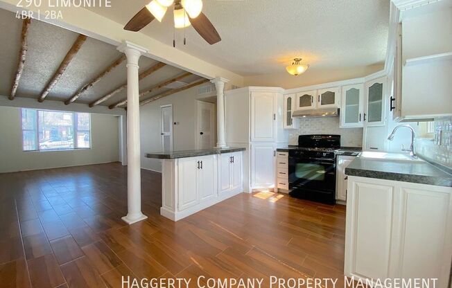 290 LIMONITE
