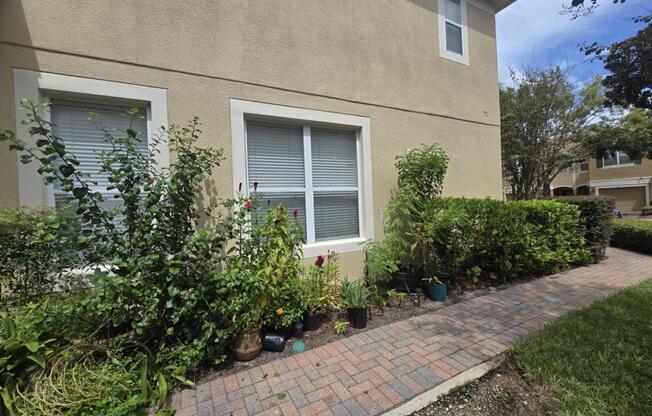 3542 SHALLOT DR