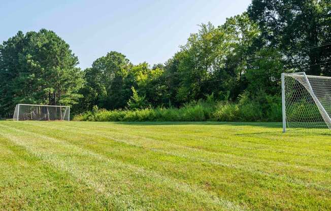 A soccer field with a goal post on the left side.