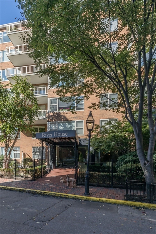 145 Pinckney St.
