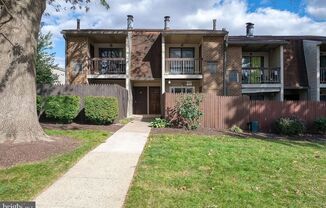 1 bed, 1 bath, $1,195