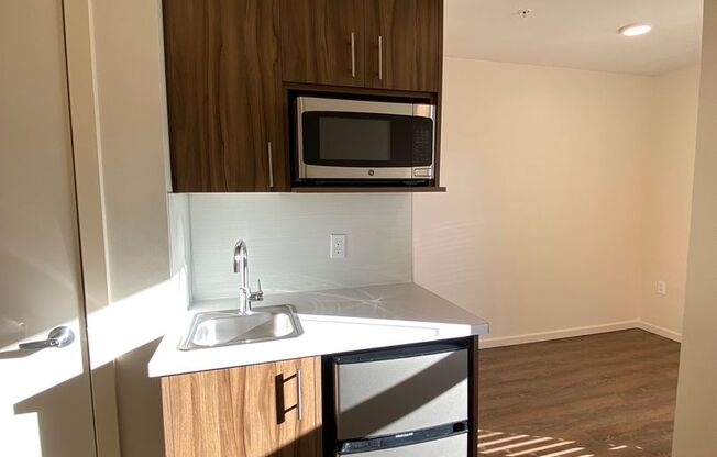 Studio, 1 bath, 178 sqft, $1,125, Unit 313