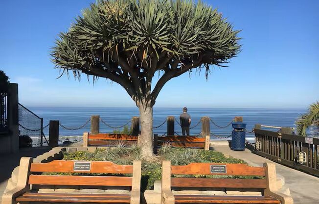 Luxe 3-Bedroom, 3-Bath Beach Home in Encinitas – w Furnished Option! Showing Today!