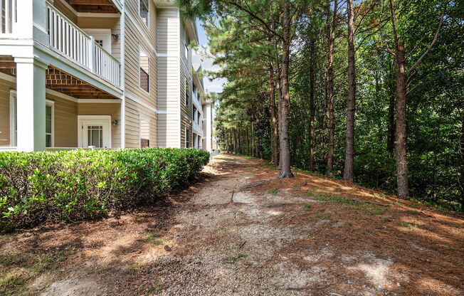 take a stroll down the dirt path to the entrance of the apartments