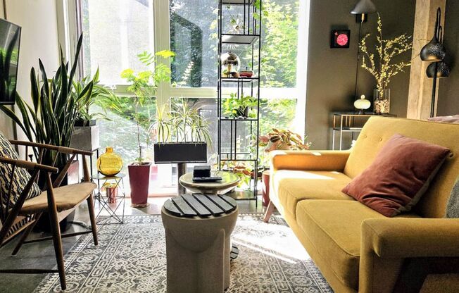 Studio, 1 bath, 302 sqft, $1,195, Unit 503