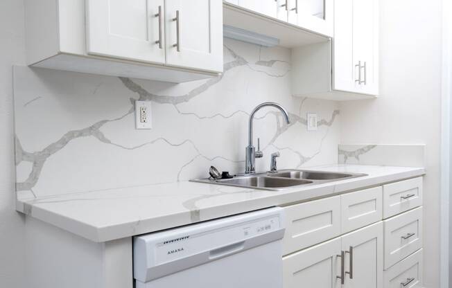 kitchen with sink and dishwasher