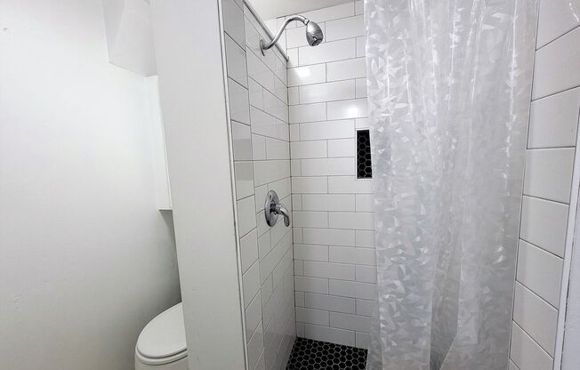 Studio, 1 bath, $1,700