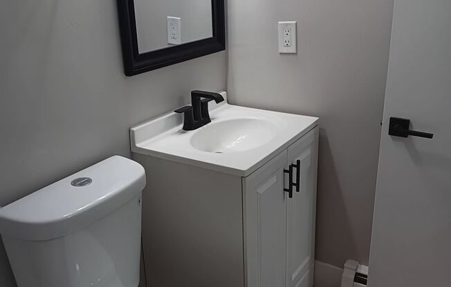 1 bed, 1 bath, $1,250, Unit 313