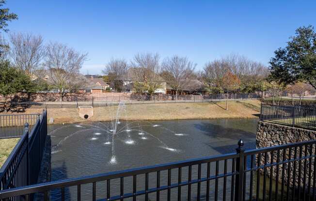 Water Feature