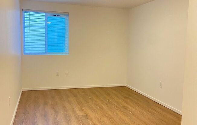 Studio, 1 bath, 175 sqft, $1,495, Unit 1202