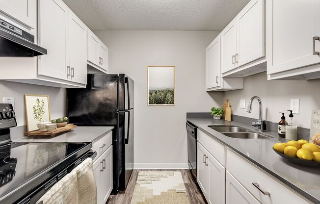 Welcome to Equinox Apartments