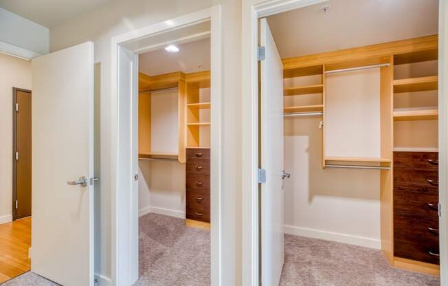 Spacious Closets with Built-in Shelving