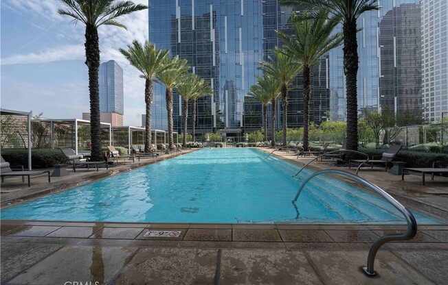 Studio, 1 bath, 519 sqft, $2,400, Unit 517