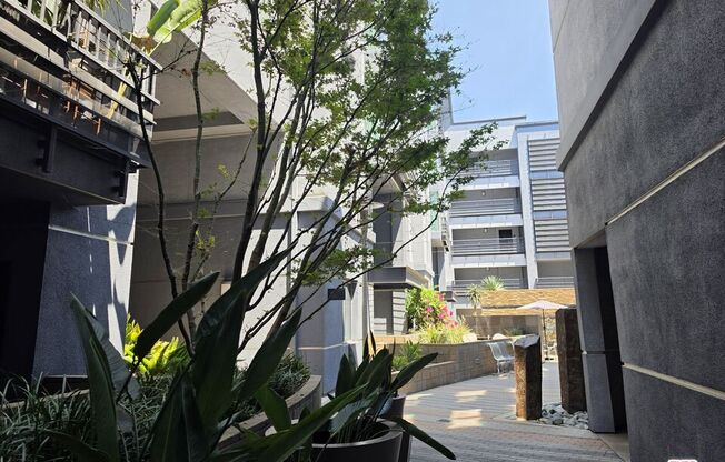 1 bed, 1 bath, 600 sqft, $2,700, Unit 227