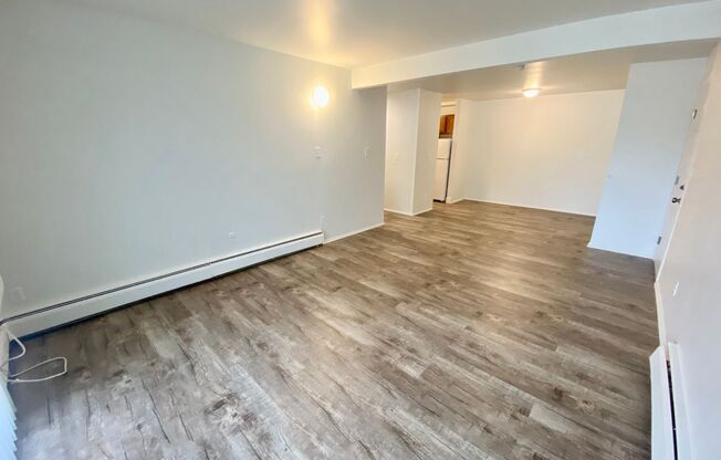 1 bed, 1 bath, 700 sqft, $1,095, Unit 209