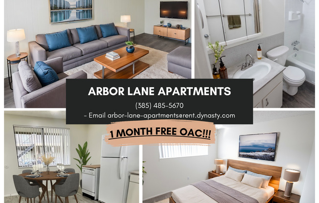 2 beds, 1 bath, 935 sqft, $1,399, Unit 33