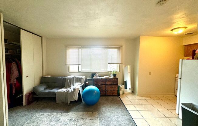 Studio, 1 bath, $725, Unit 311