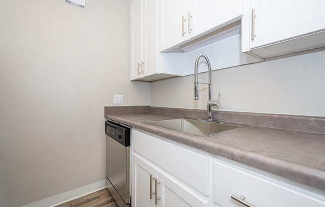 Kitchen sink and counters