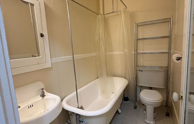 1 bed, 1 bath, 545 sqft, $1,295, Unit 303