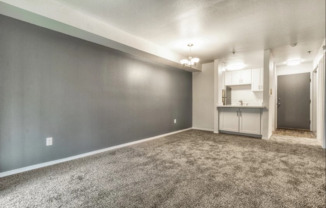 Ground Floor 1 Bedroom 1 Bath Unit in Federal Way