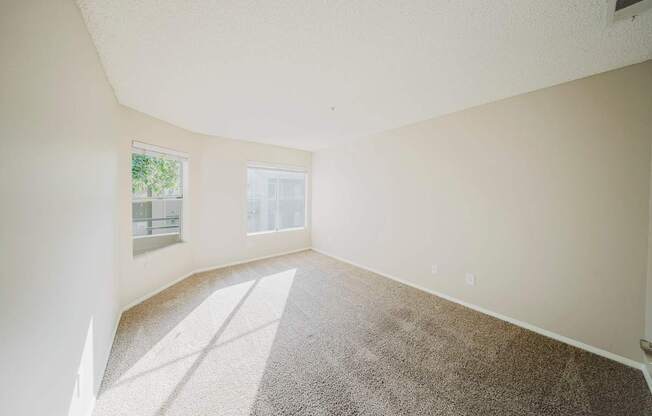 A sunny room with a carpeted floor and a window.