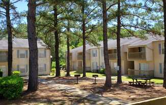 Grilling and Picnic Area Sage Hill Apartments in Mobile, Alabama