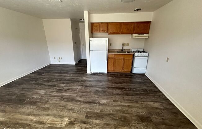 Studio, 1 bath, $750, Unit 205