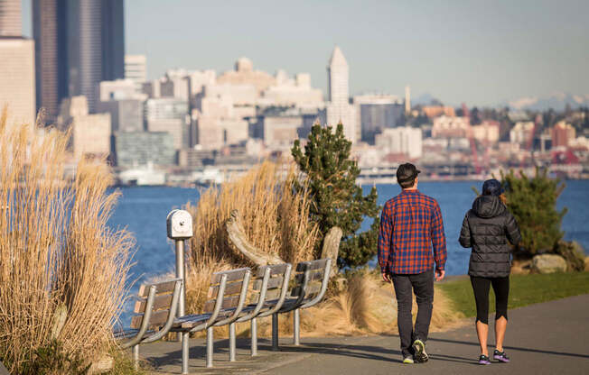 Views of Seattle Skyline from Park