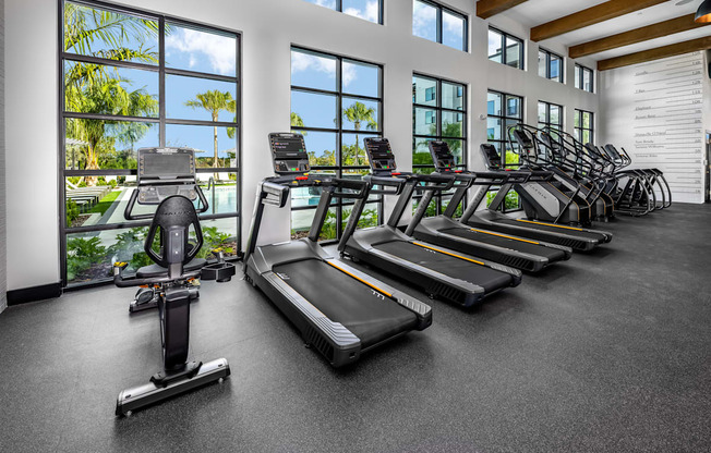 a gym with rows of cardio equipment and windows at The Alibi at Lake Lilly, Ocoee, FL