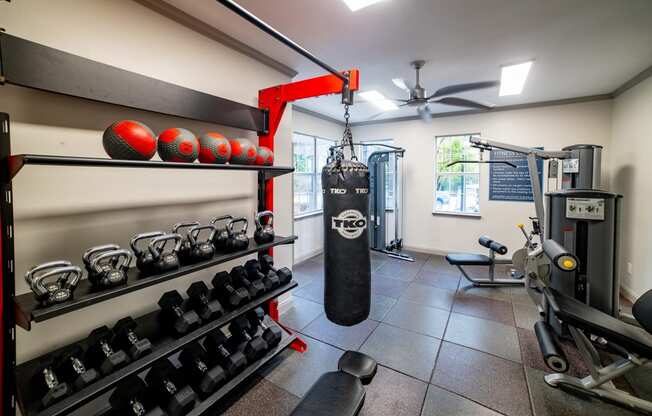 the gym is equipped with weights and a punching bag at Twenty35 at Timothy Woods, Athens, Georgia