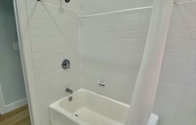 1 bed, 1 bath, $1,150