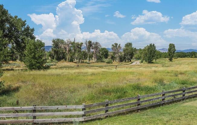 Pet Park at Berkshire Aspen Grove, Littleton