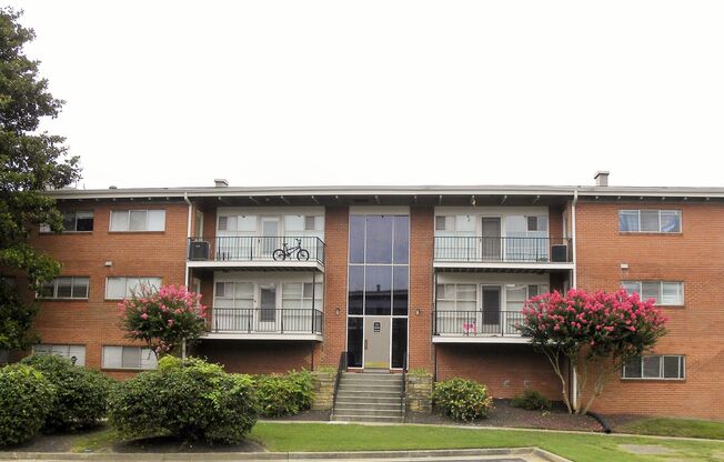 1 bed, 1 bath, 500 sqft, $999