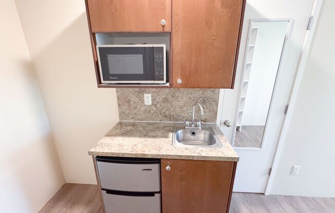 Studio, 1 bath, 154 sqft, $1,245, Unit 456