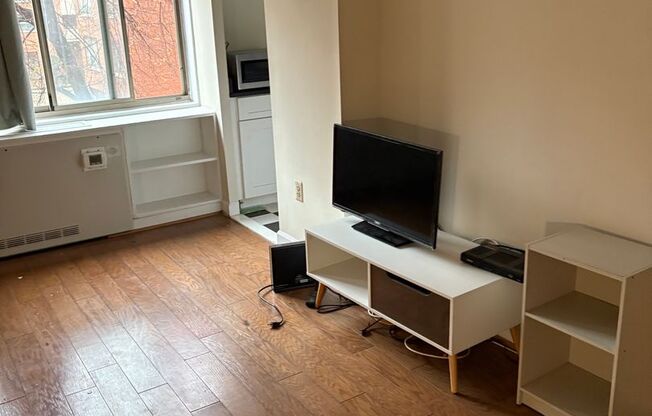 New Updated Spacious Studio