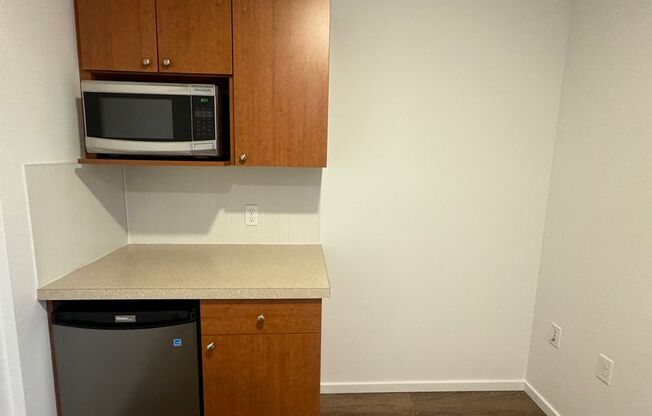 Studio, 1 bath, 175 sqft, $1,225, Unit 4305