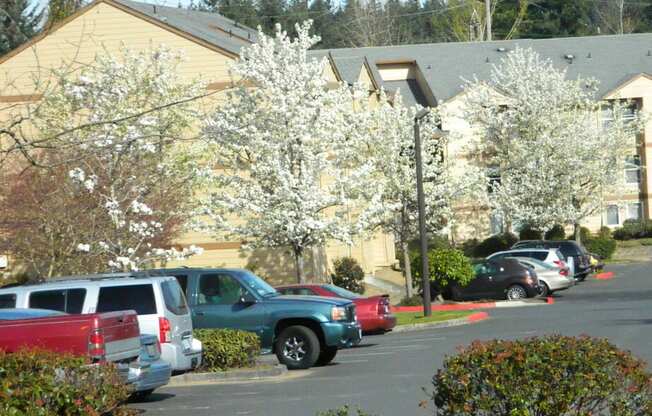 Welcome to Springwater Trail Apartments