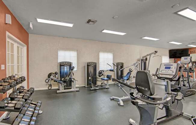 Motif Gym