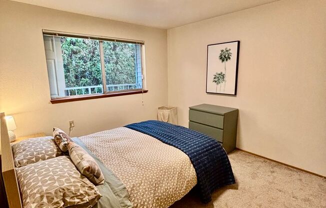 1 bed, 1 bath, 507 sqft, $1,795, Unit 103