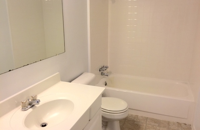 1 bed, 1 bath, 700 sqft, $1,095, Unit #101