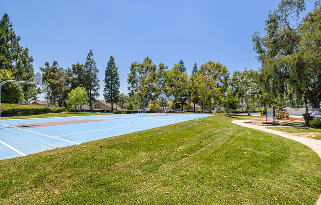 basketball court outdoors