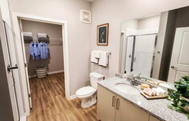 a bathroom with a shower toilet and sink and a mirror